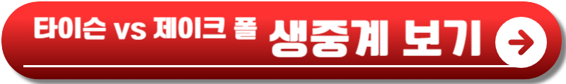 타이슨 제이크 폴
