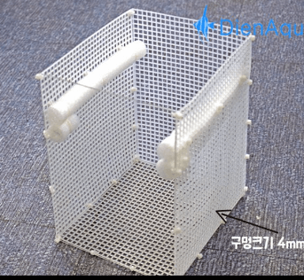 구피 치어 부화통, 합사 시기는?