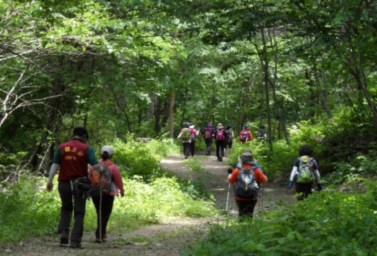 백두대간 트레일