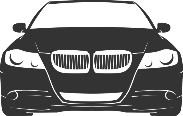 BMW민첩성