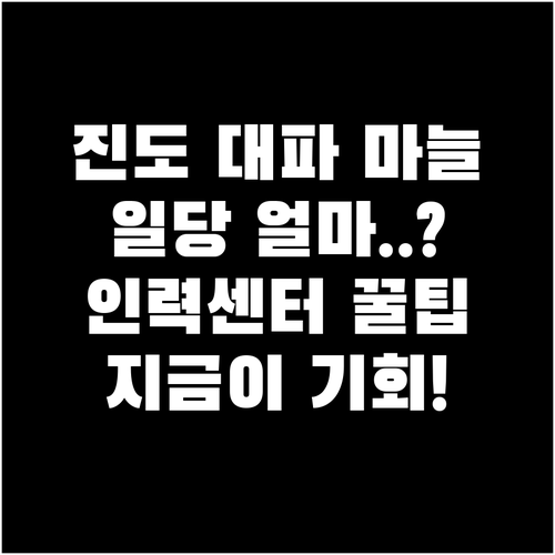 진도 대파 마늘 수확 알바 시세와 농..