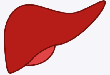 간수치 정상범위