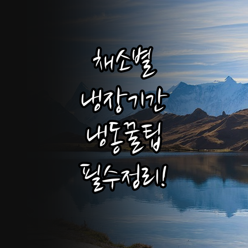 채소별 손질 후 냉장 보관 기간과 냉..