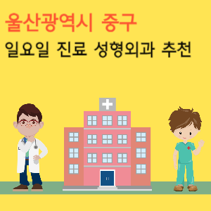 울산 일요일 진료 성형외과 추천