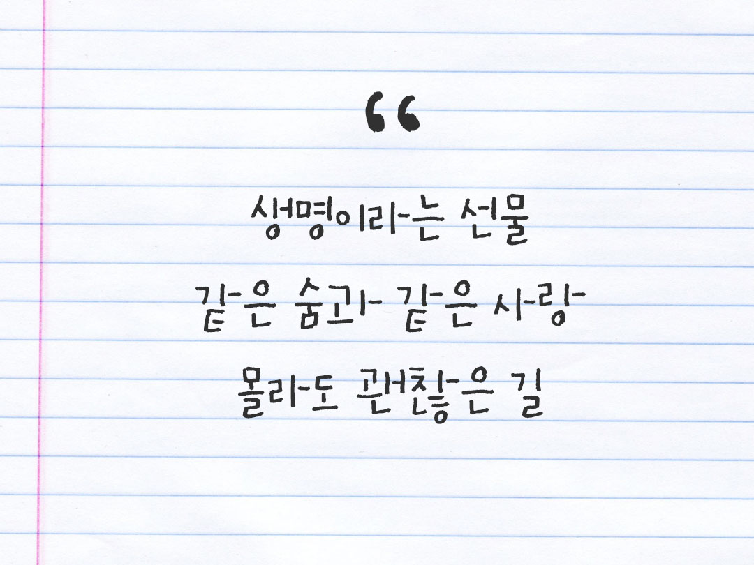 2026년 1월 9일 피어나네 감사노트|일상을 행복으로 바꾸는 기록 하루 3줄 감사일기