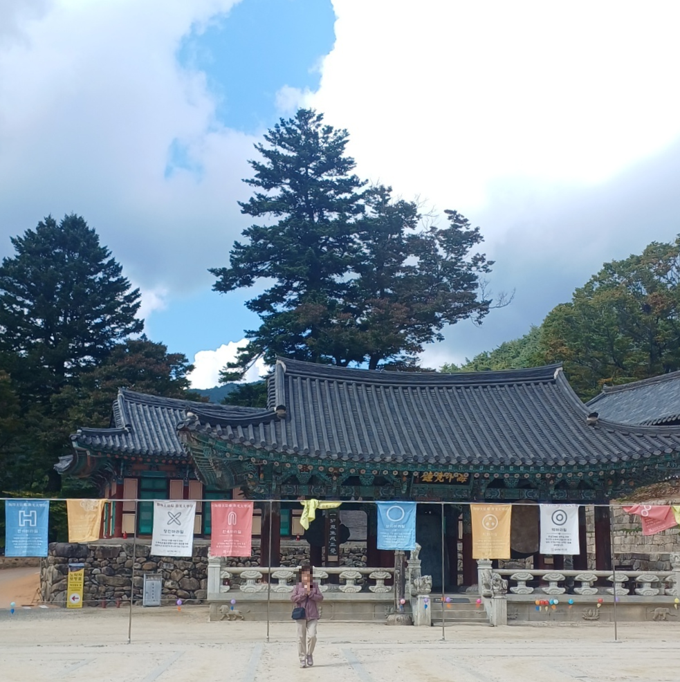 합천해인사맛집