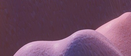 2025 노인 장기요양등급 신청