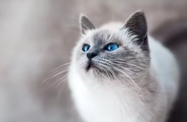 세계에서 난리난 창업아이템 알아보기