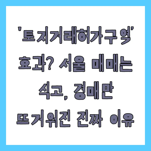 '토지거래허가구역&rsquo; 효과? 서울 매매는 식고, 경매만 뜨거워진 진짜 이유