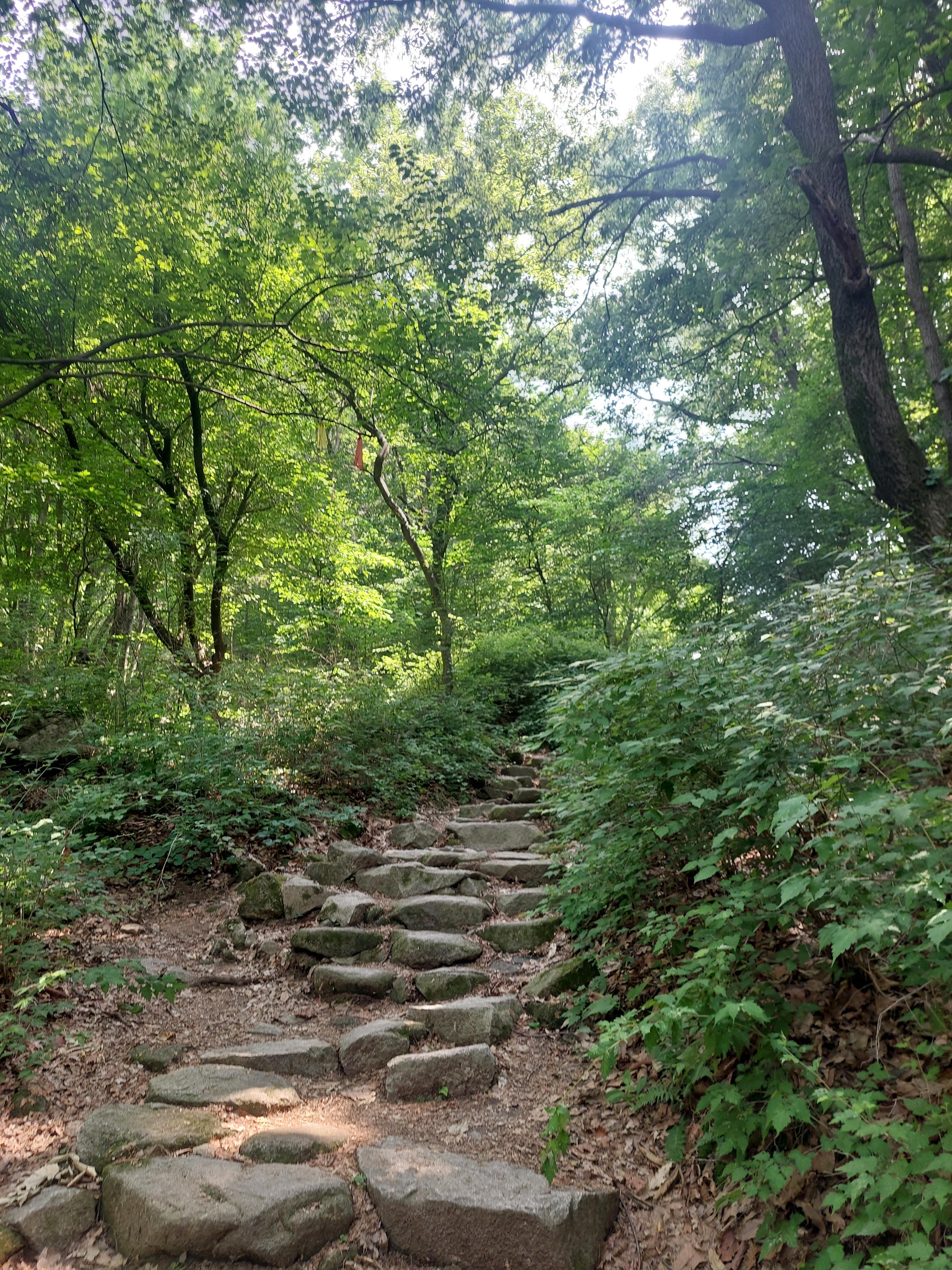 호암산