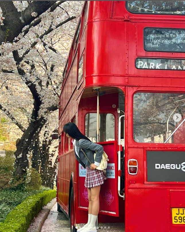 이월드 벚꽃축제