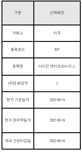미국주식 선택배당 안내 IEP