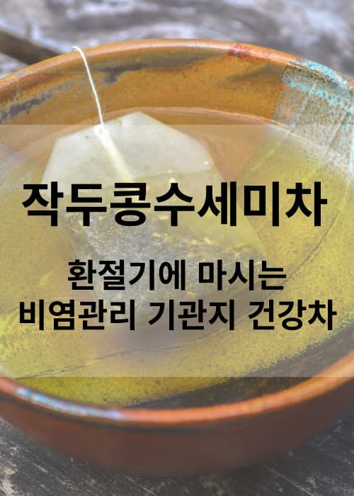 환절기비염관리기관지건강차작두콩수세미차