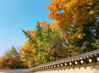 경기도 가을축제