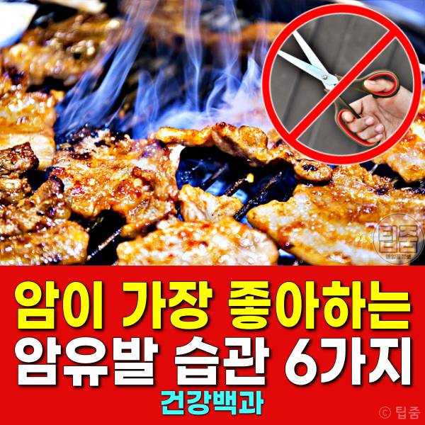 탄고기 대장암 암이 좋아하는 생활