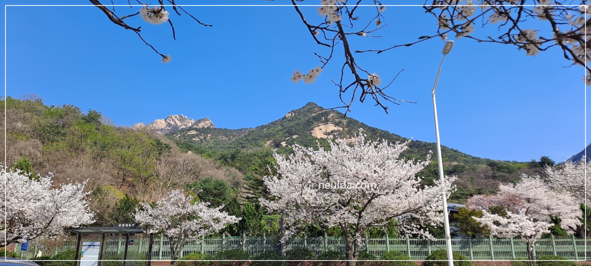 버스-정류장에서-바라-본 북한산