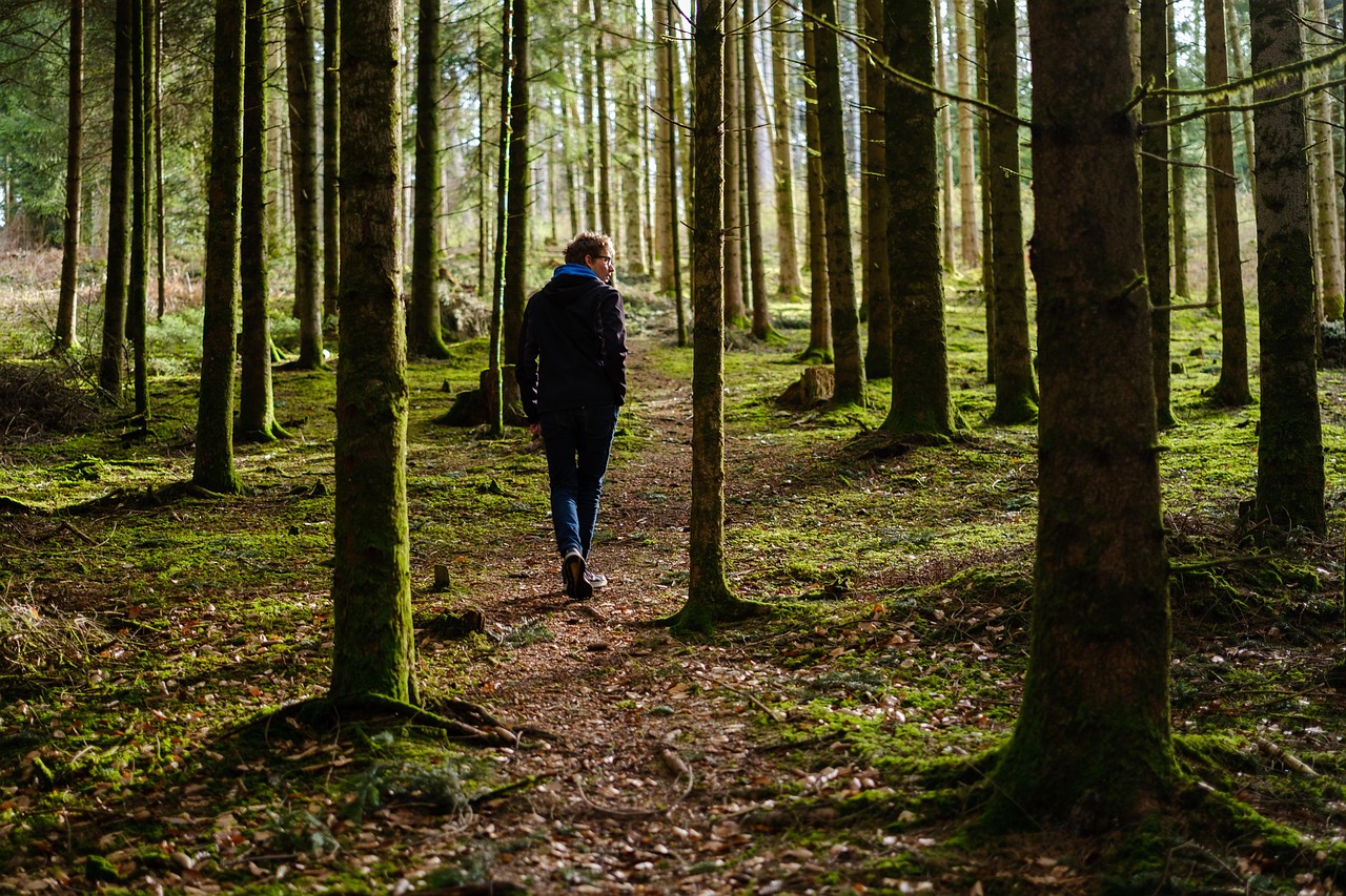 산속을 걷는 남자의 뒷모습 관련 사진