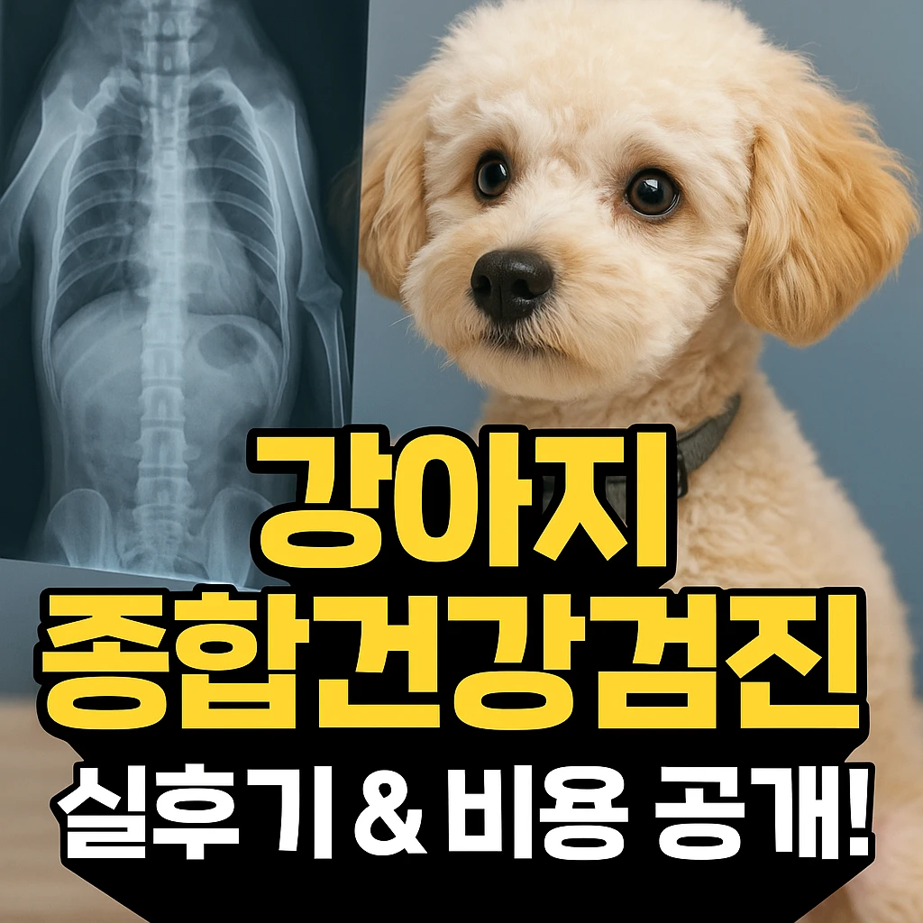 강아지 종합건강검진, 정말 필요할까? 실후기 &amp; 실제 비용 공개!