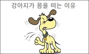 강아지가 몸을 떠는 이유