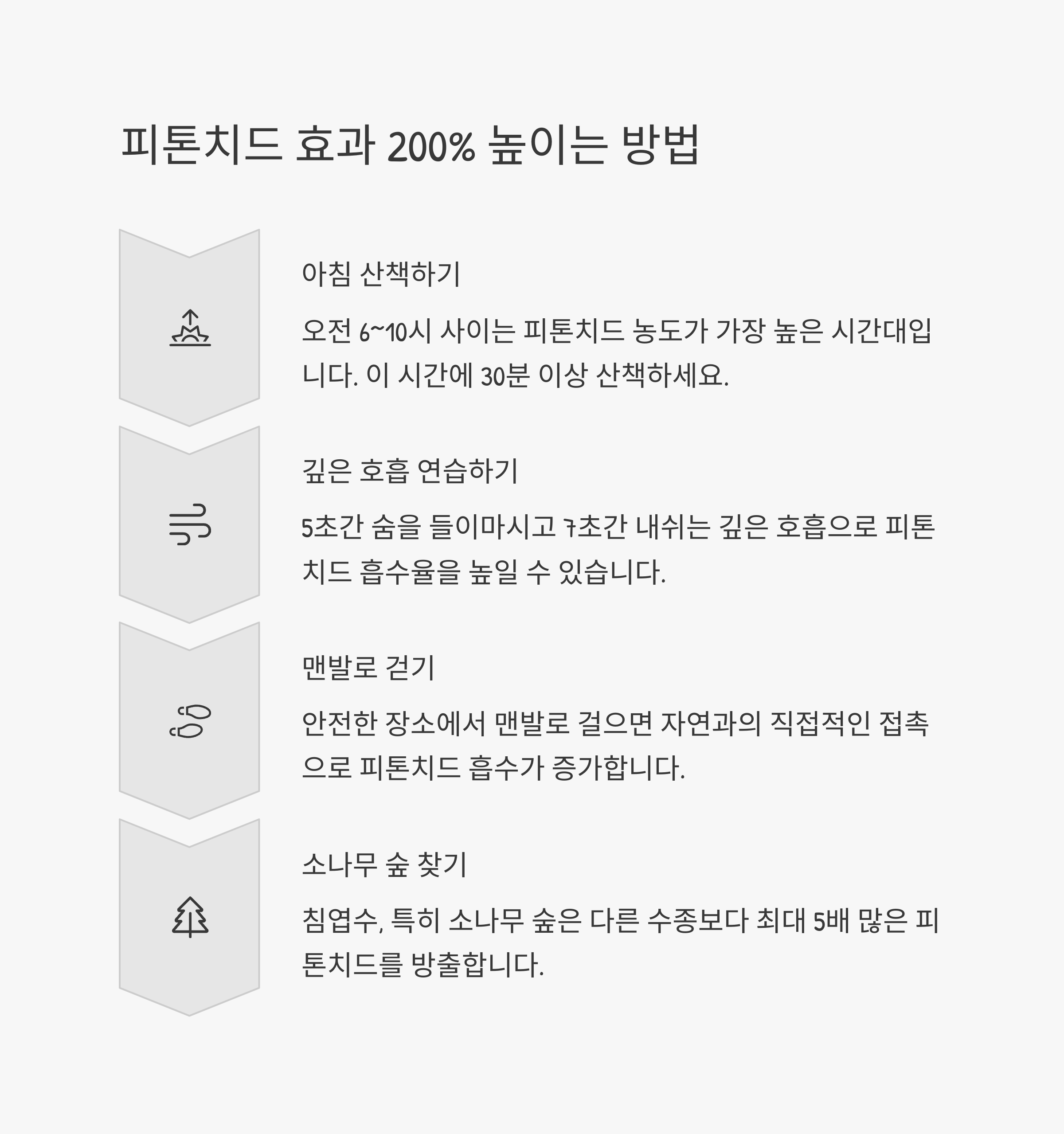 아이와 함께하는 자연휴양림&amp;#44; 피톤치드 제대로 누리는 법 