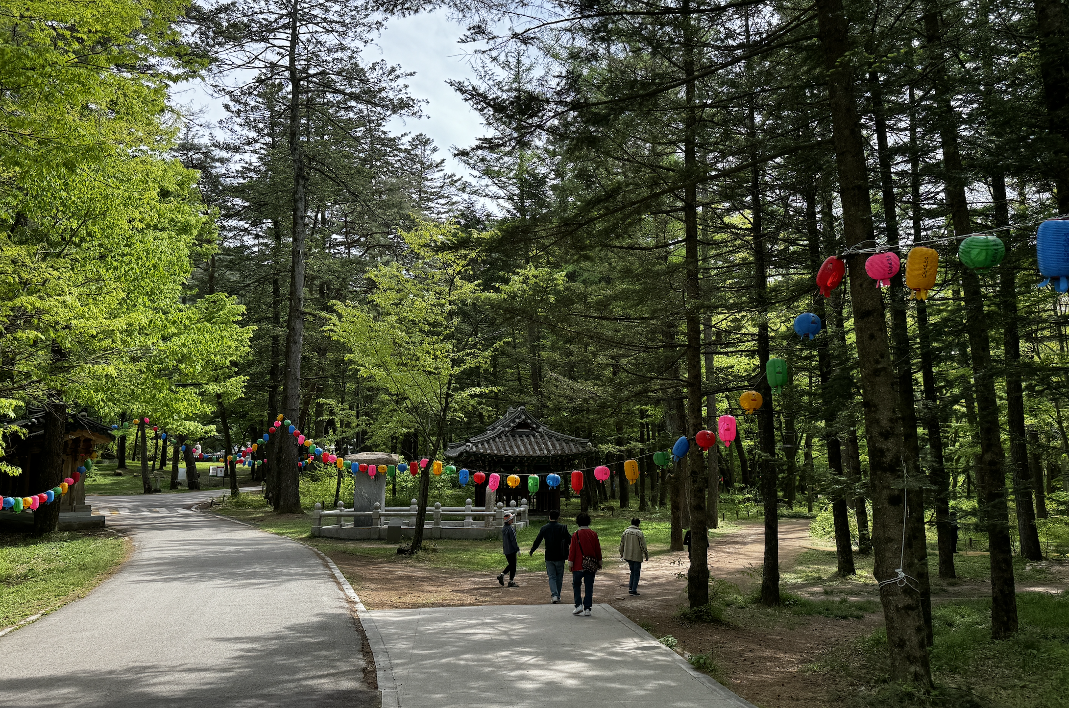 불교의 평등사상, 그리고 자연속 사찰