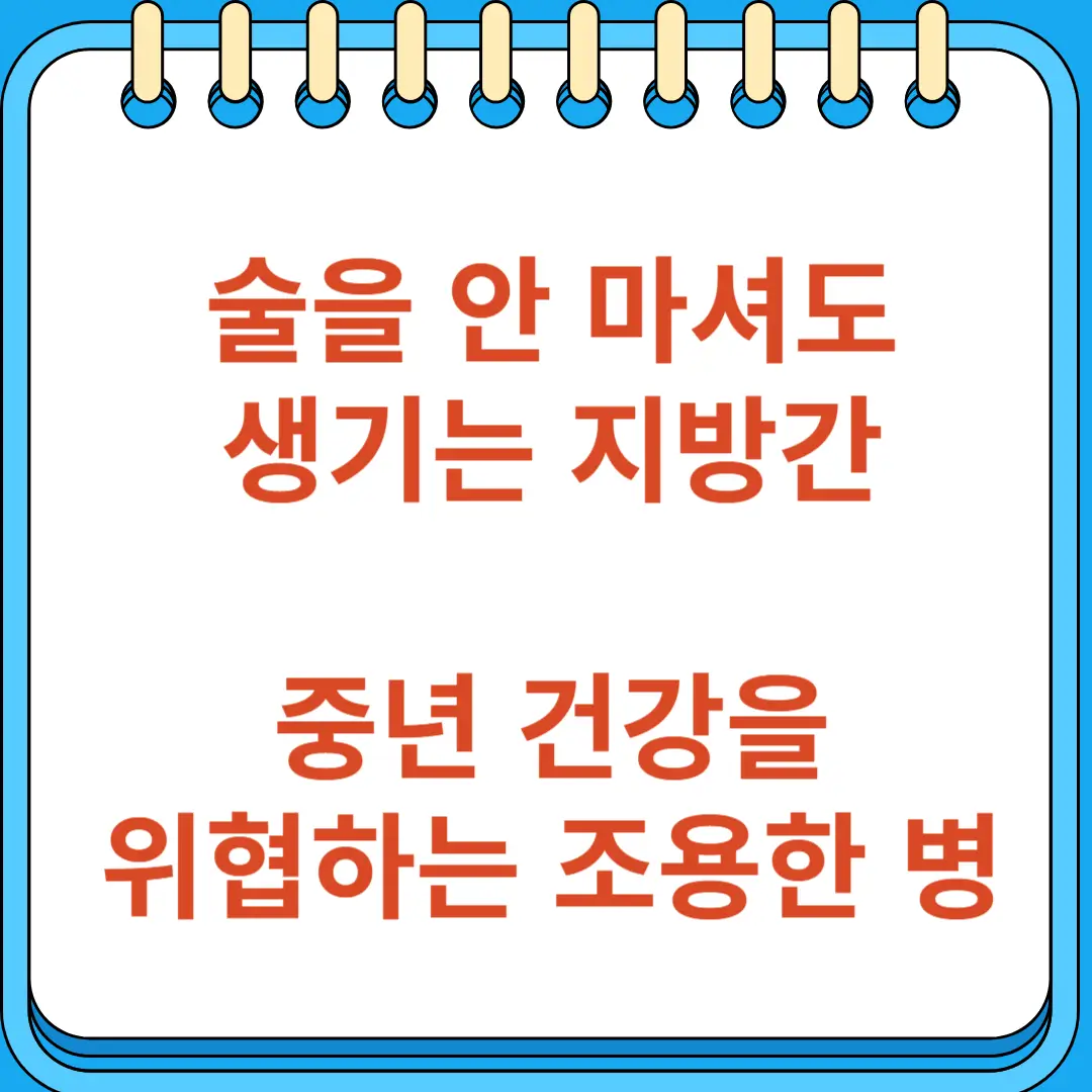 술을 안 마셔도 생기는 지방간 중년 건강을 위협하는 조용한 병