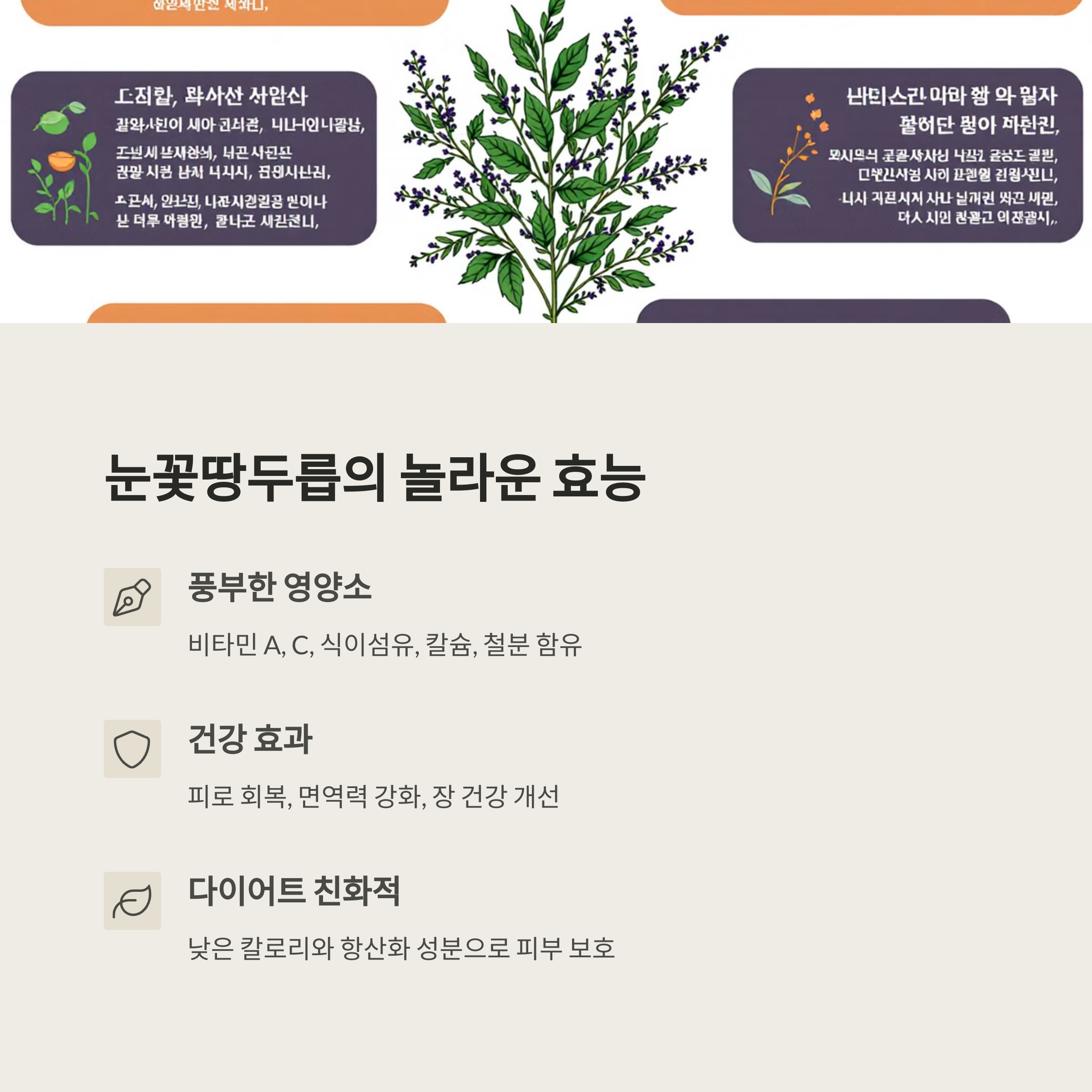 눈꽃땅두릅의 놀라운 효능