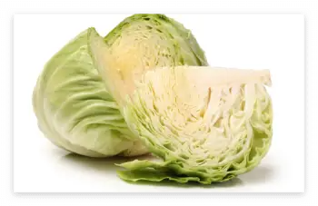 위궤양 원인 및 증상, 위궤양에 좋은 음식과 피해야 할 나쁜 음식