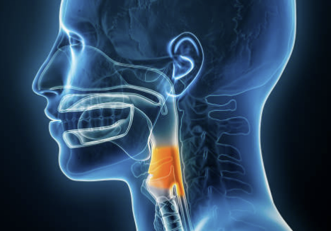 역류성 식도염 증상 자연치료 방법 알아보기!