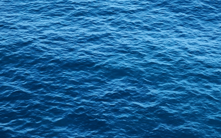 5월 바다 밥상 이벤트 신청하기