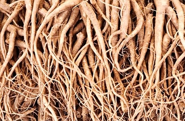 도라지 씻는방법