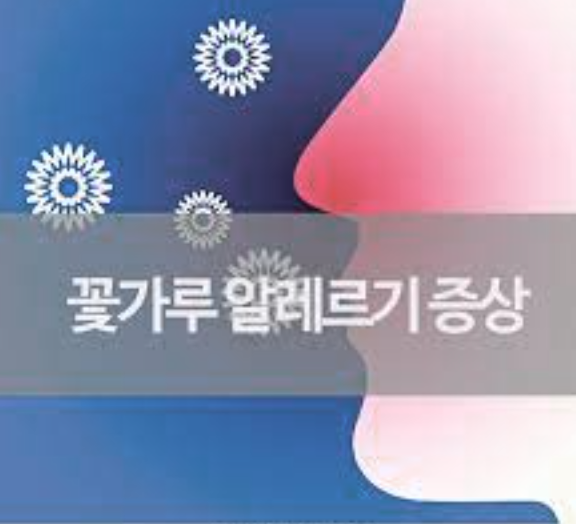 꽃가루 알레르기 증상