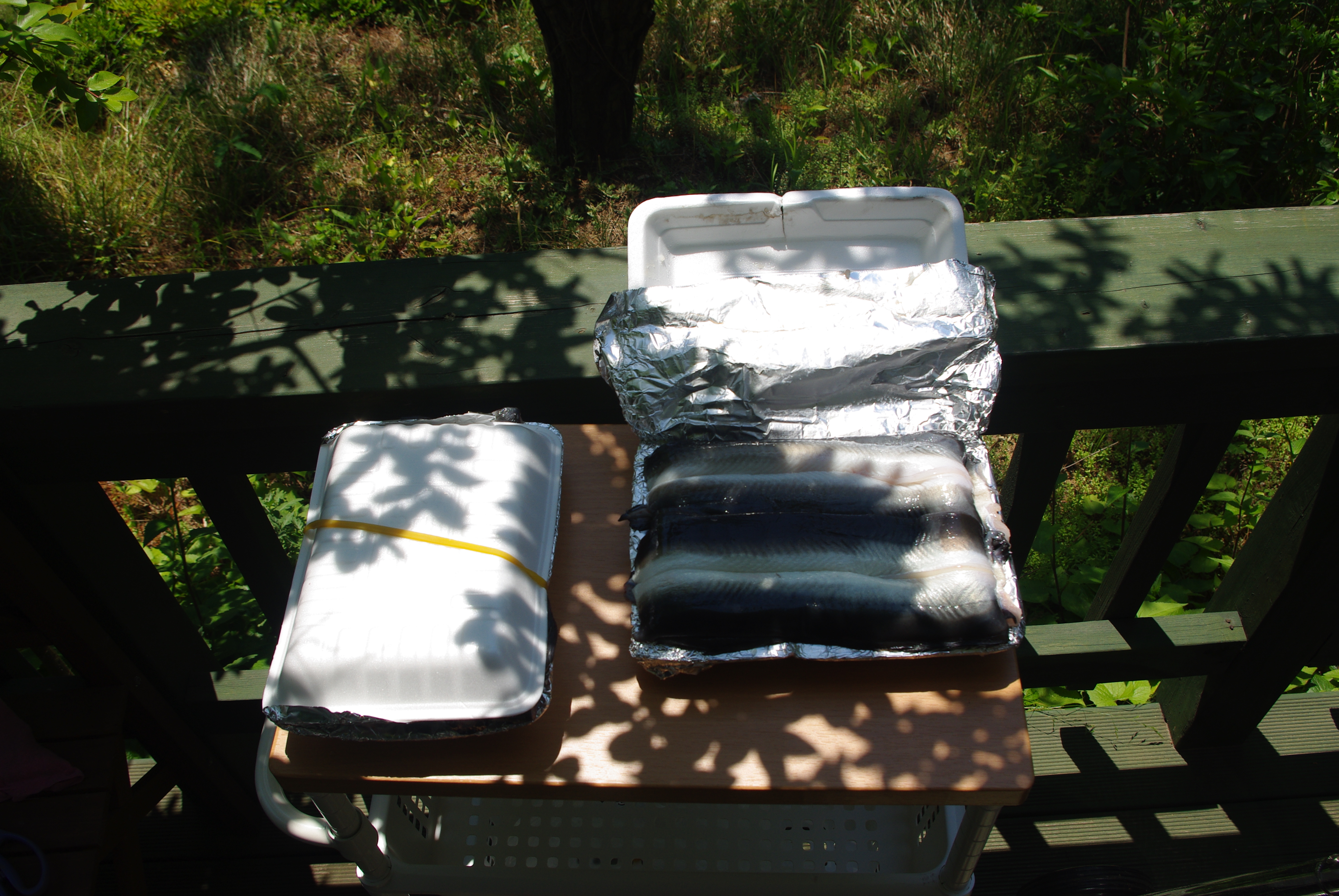 포장해서 사온 민물장어