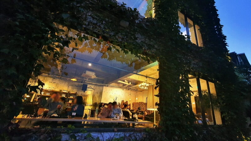 카페-대너리스-이국적인-나무-덩굴