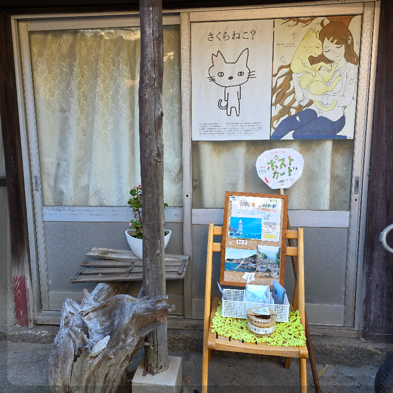 고양이 가게 / Cat shop
