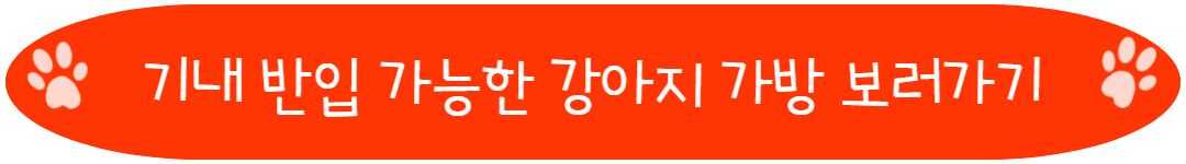 기내 반입 가능한 강아지 가방 보러가기
