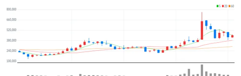 POSCO홀딩스 월봉