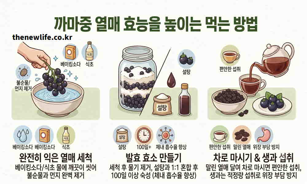 까마중 열매 효능 높이는 먹는 방법