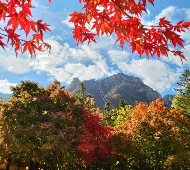 설악산 케이블카
