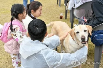행복한 반려견 맞이하기 나에게 맞는 강아지 선택 가이드_26