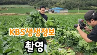 생생정보 수확 달인 미사리 커피농장 소개_10
