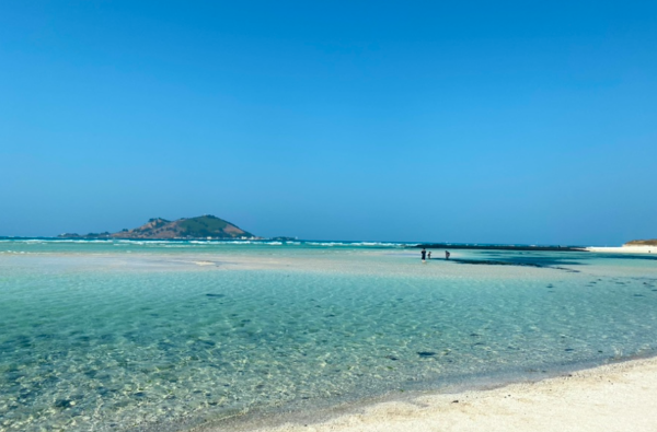 봄에 떠나기 좋은 여행지