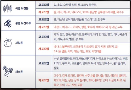 포드맵2