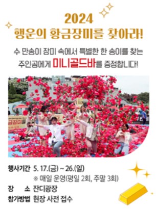 곡성 장미축제