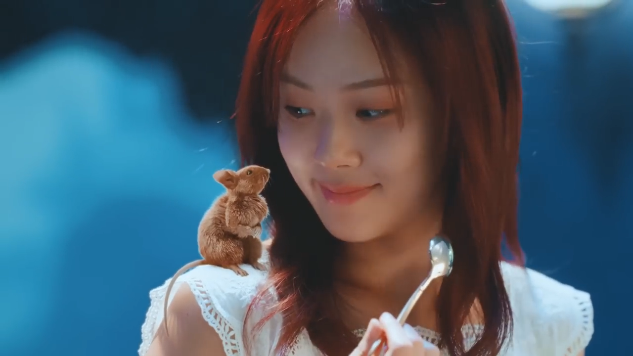 밤양갱 비비