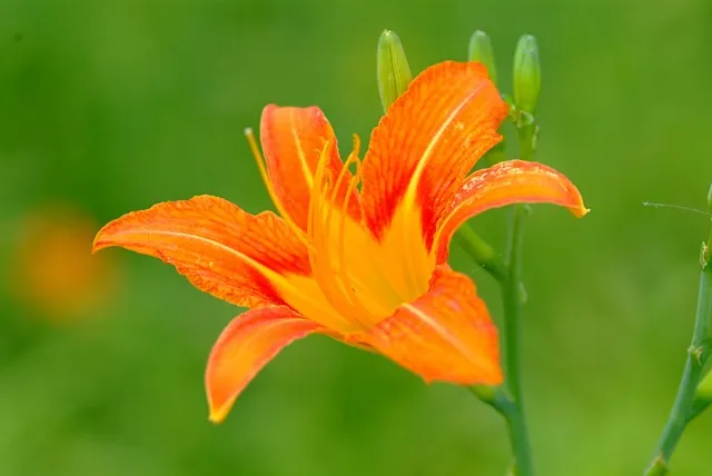 2025년 8월 지리산 날씨 옷차림 복장 준비물 여행 꿀팁_7