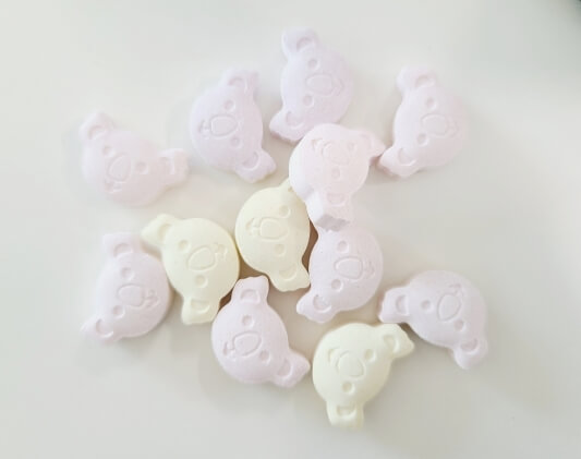 코알라 모양의 비타민 캔디 사진