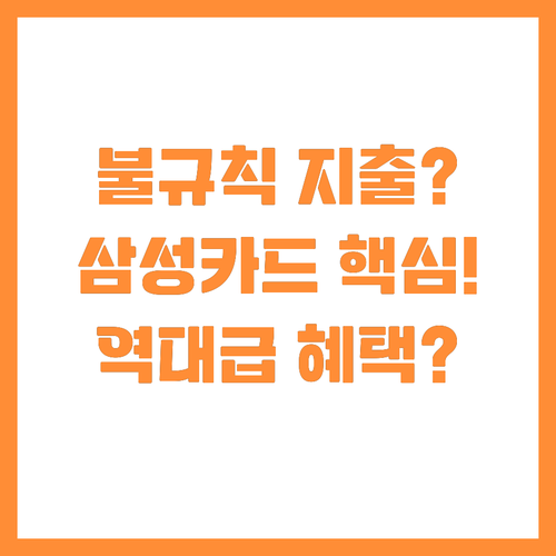 지출 불규칙한 당신에게 삼성카드가 드..