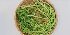 간에 좋은 음식