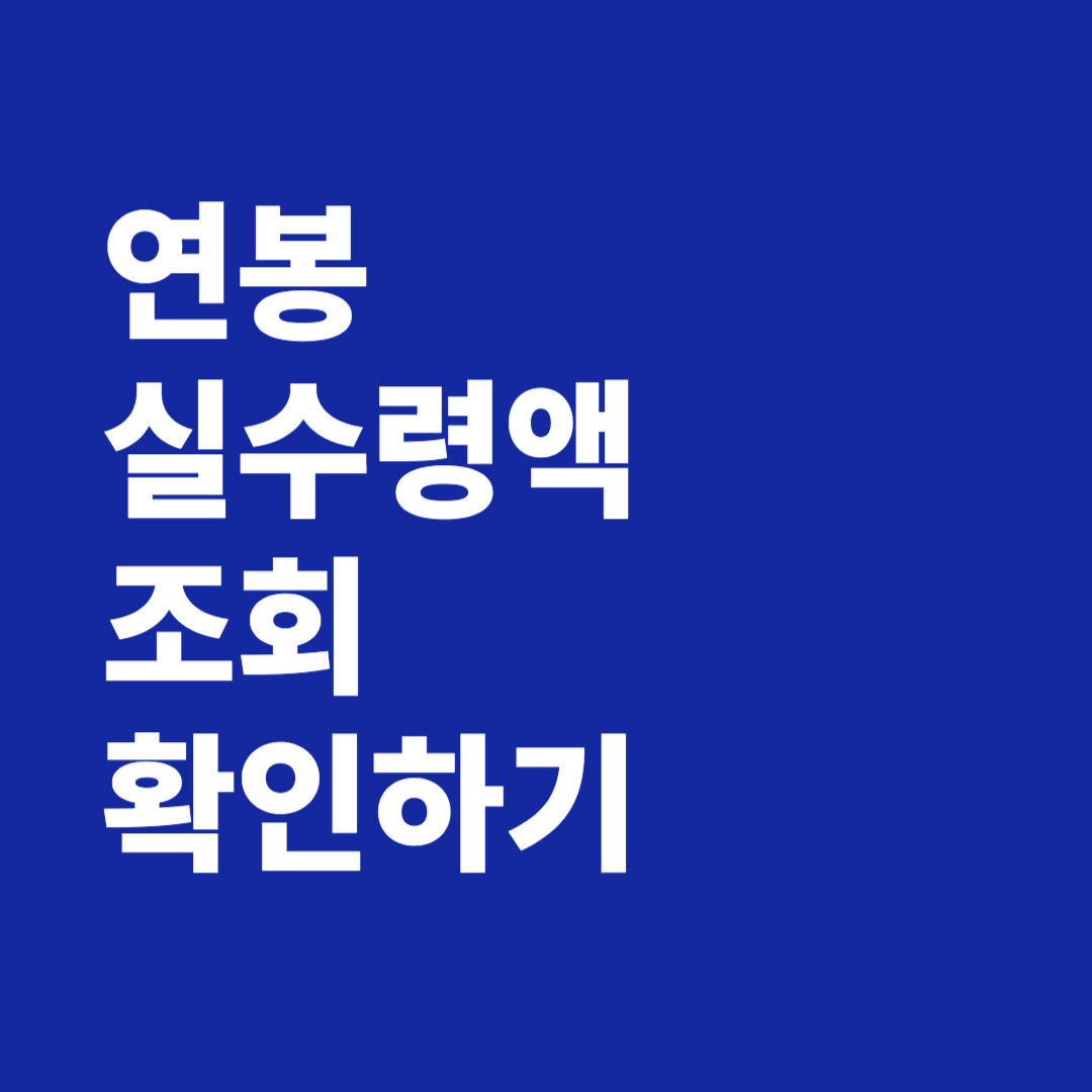 연봉 실수령액 계산 확인하기